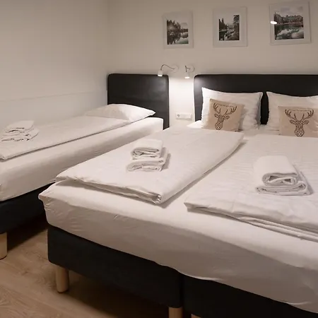 Ludvig Zell Am - Kaprun With Spacious Terrace Piesendorf